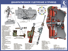 №7.Диафрагменное сцепление и привод